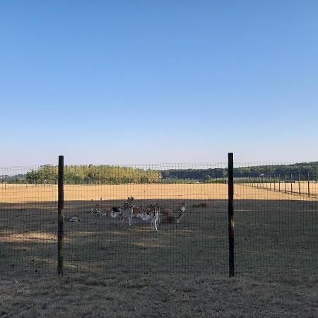 Lemen Huis Houwaart Tielt Zewnętrze zdjęcie