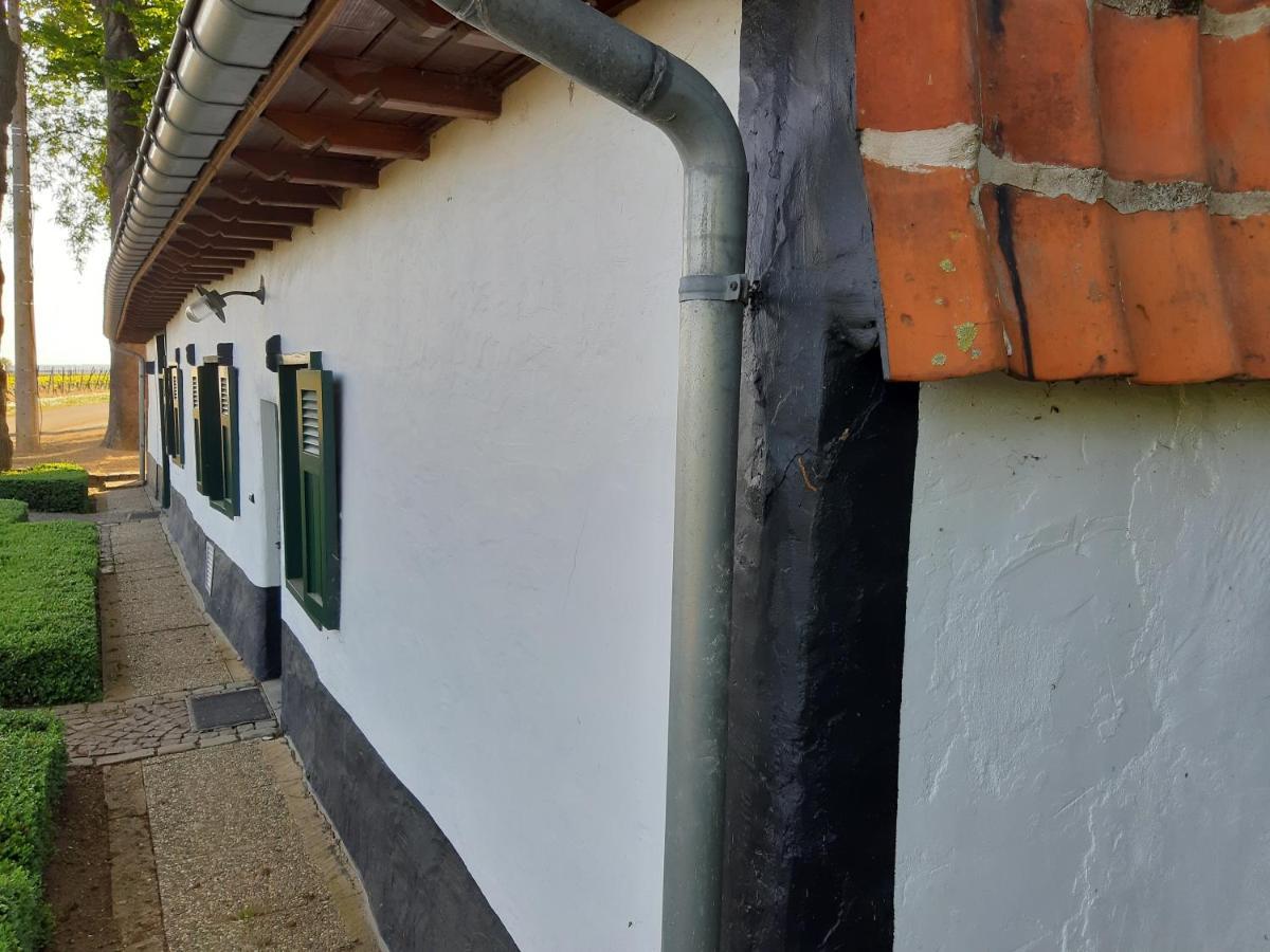 Lemen Huis Houwaart Tielt Zewnętrze zdjęcie